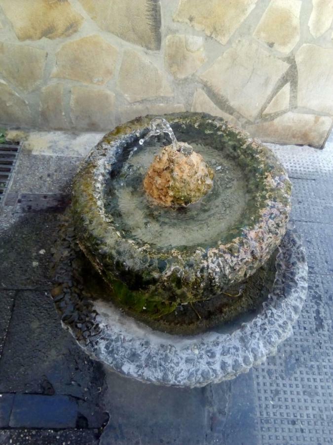 Casa Rural Majaceite ξενώνας El Bosque Εξωτερικό φωτογραφία